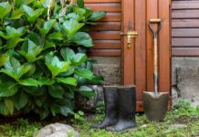 Different Types of Yard Drainage Best For Your Garden